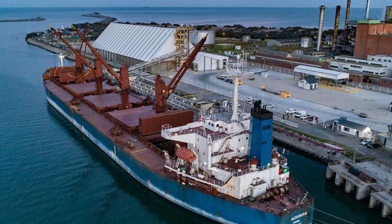 “Miradas Portuarias”: una jornada de arte al aire libre que celebra la identidad