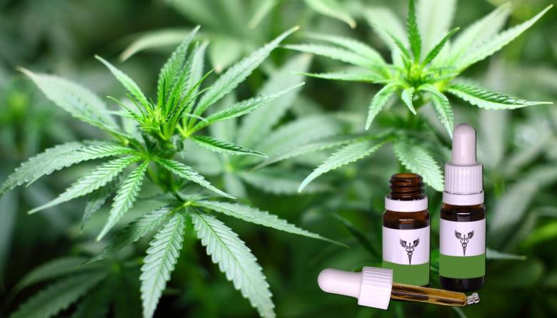 Cannabis medicinal: un debate que vuelve al Concejo Deliberante