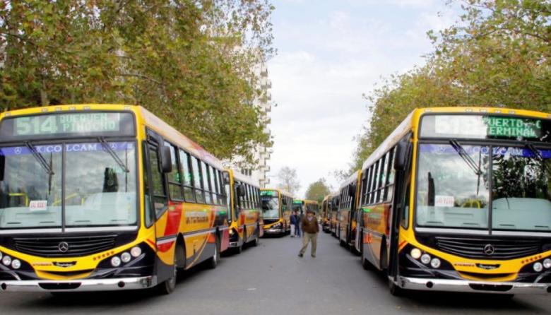 Hay empresas interesadas en participar de una nueva licitación por el transporte público