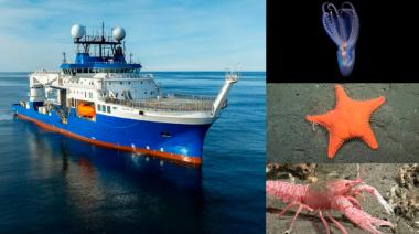 Una nueva misión del Conicet investigará zonas nunca vistas del Mar Argentino: cómo seguirla en vivo