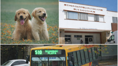 Cuidadores, choferes y médicos: Trabajando en Navidad