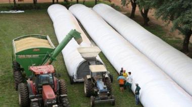 Piden penas de hasta cinco años de cárcel para quienes ataquen silobolsas