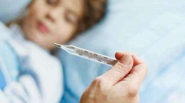 Gripe A (H3N2): reportaron los primeros casos en Sudamérica