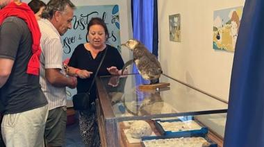 Área de Museos: 2000 visitas en la primera quincena del año