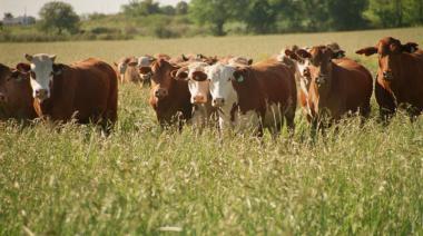 De qué forma impactará el acuerdo entre EE.UU. y Argentina en los diferentes sectores de la agroindustria
