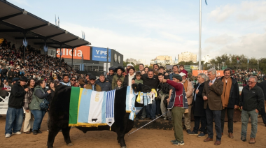 Un toro de La Dulce se consagró Gran Campeón Macho Angus en Palermo