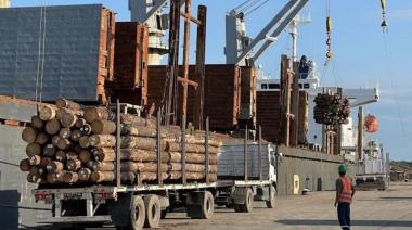 Intendentes piden a Nación reactivar el tren que conecta con Puerto Quequén