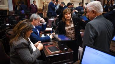 Senado: por presión de los bloques aliados, el Gobierno retiró el capítulo de extranjerización de tierras