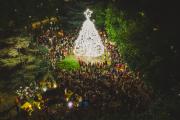 Se encendió el Árbol de Navidad