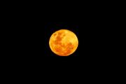 Eclipse lunar en Argentina: la Luna quedará casi totalmente cubierta y se teñirá de rojo