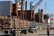 Intendentes piden a Nación reactivar el tren que conecta con Puerto Quequén